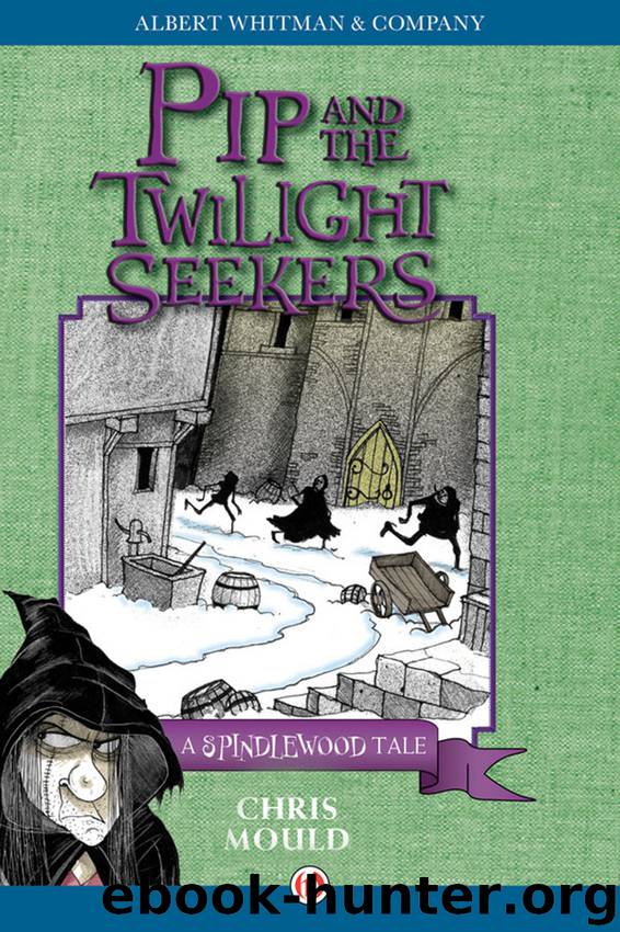 Pip and the Twilight Seekers by Chris Mould
