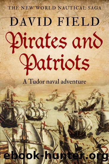 Pirates and Patriots: A Tudor naval adventure (The New World Nautical Saga Book 1) by David Field