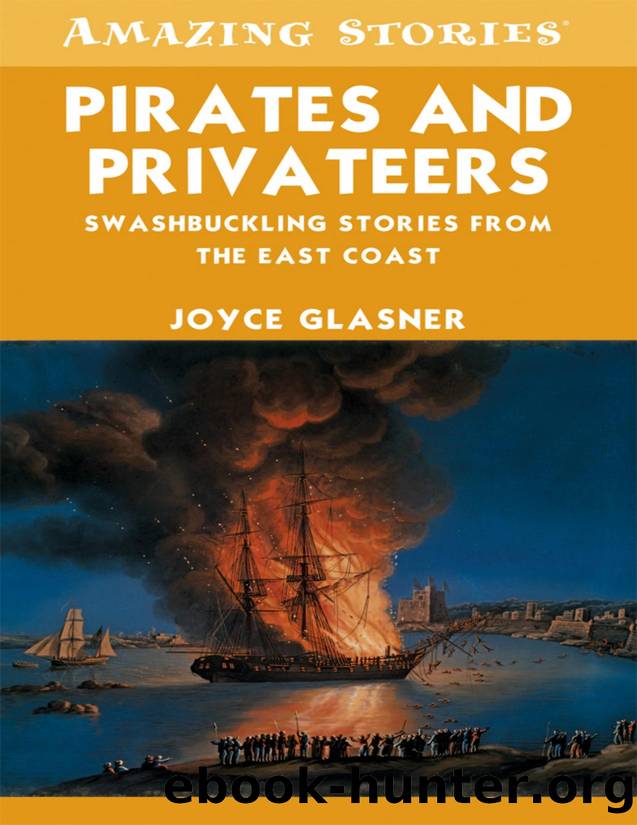 Pirates and Privateers by Joyce Glasner