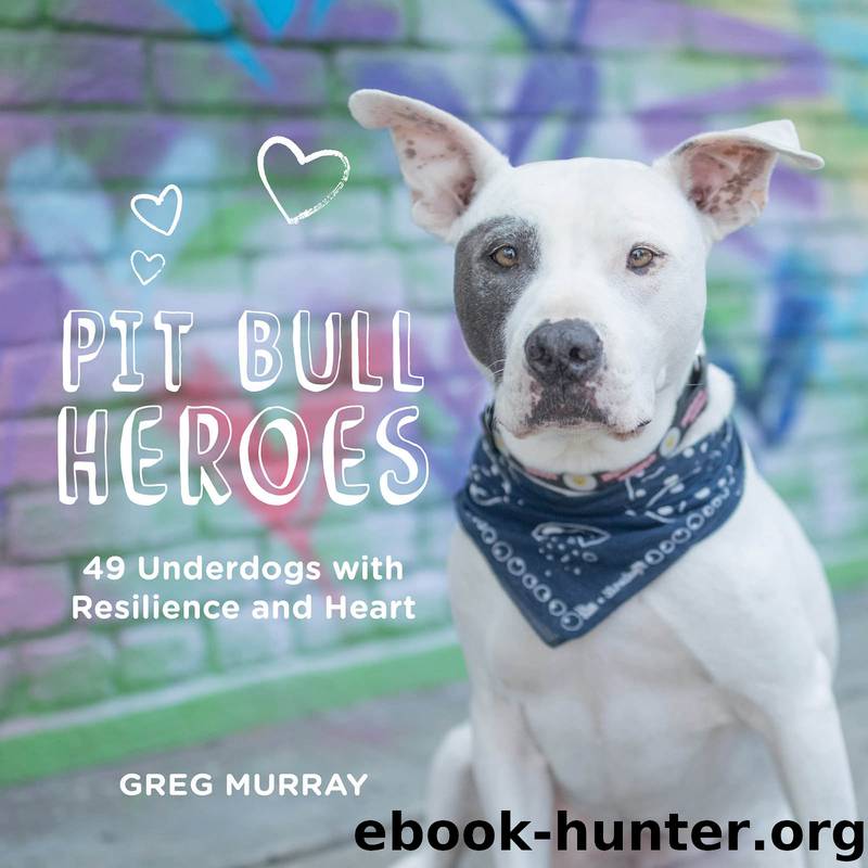 Pit Bull Heroes by Greg Murray