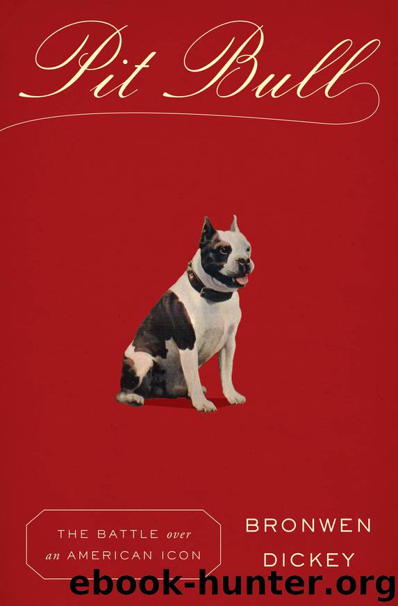 Pit Bull by Bronwen Dickey