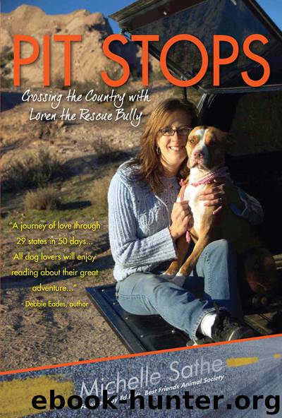 Pit Stops by Michelle Sathe