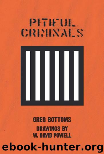 Pitiful Criminals by Greg Bottoms David Powell