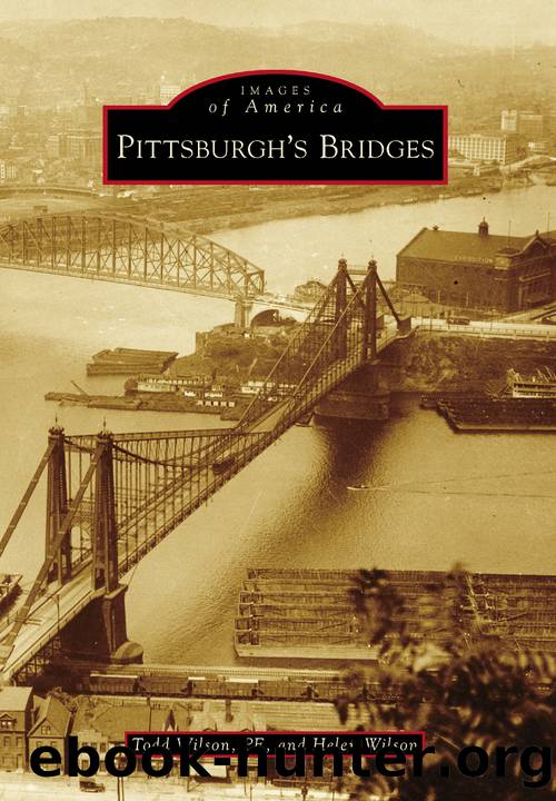Pittsburgh's Bridges by Todd Wilson PE
