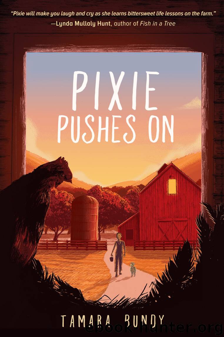 Pixie Pushes On by Tamara Bundy