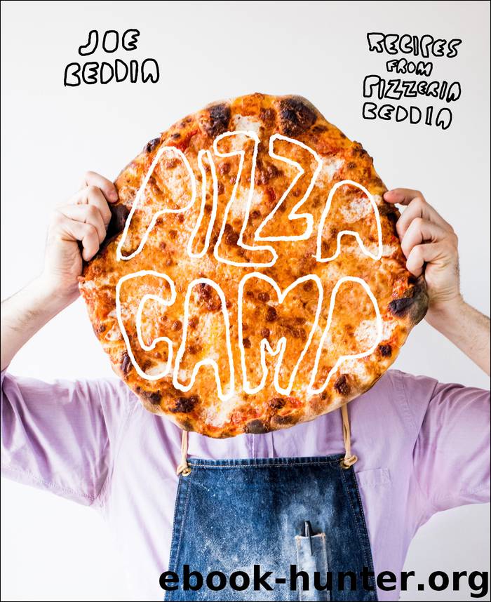 Pizza Camp by joe beddia