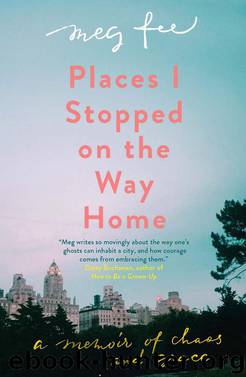 Places I Stopped on the Way Home by Meg Fee
