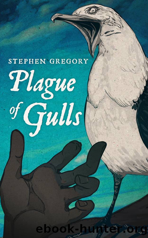 Plague of Gulls by Stephen Gregory