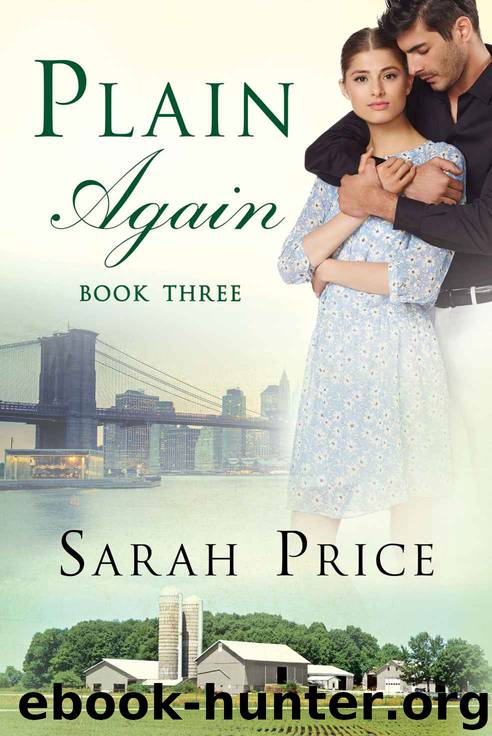 Plain Again by Sarah Price