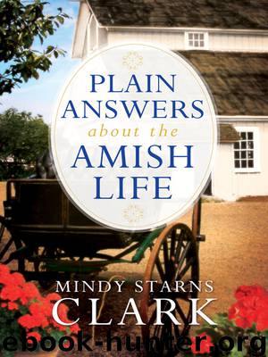 Plain Answers About the Amish Life by Mindy Starns Clark