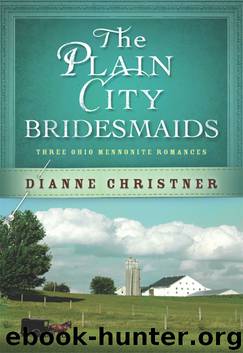 Plain City Bridesmaids by Dianne Christner