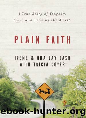 Plain Faith by Irene Eash