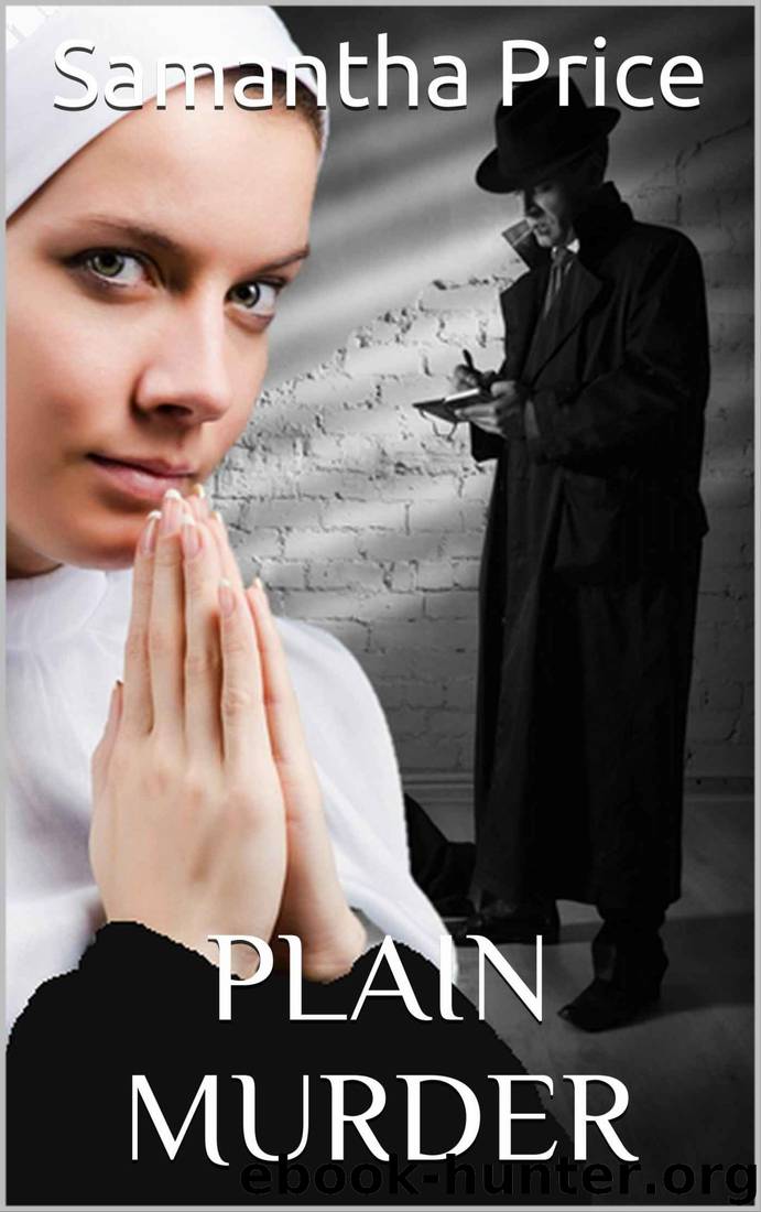 Plain Murder (Amish Romance Mystery): Clean Mystery series (Amish ...