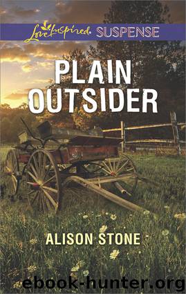 Plain Outsider by Alison Stone