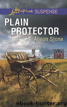 Plain Protector by Alison Stone