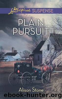 Plain Pursuit by Alison Stone