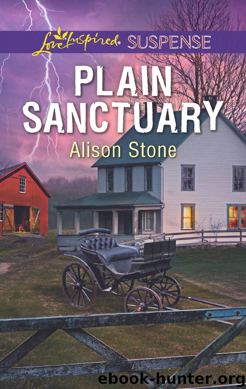 Plain Sanctuary by Alison Stone