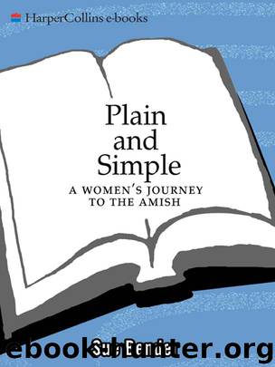 Plain and Simple by Sue Bender
