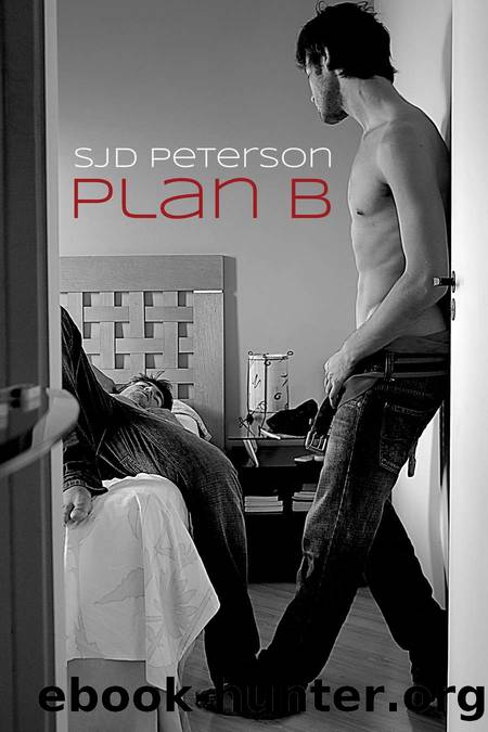 Plan B by Sjd Peterson