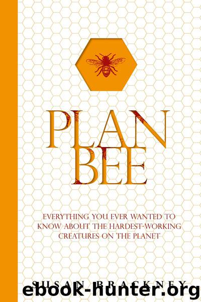 Plan Bee by Susan Brackney