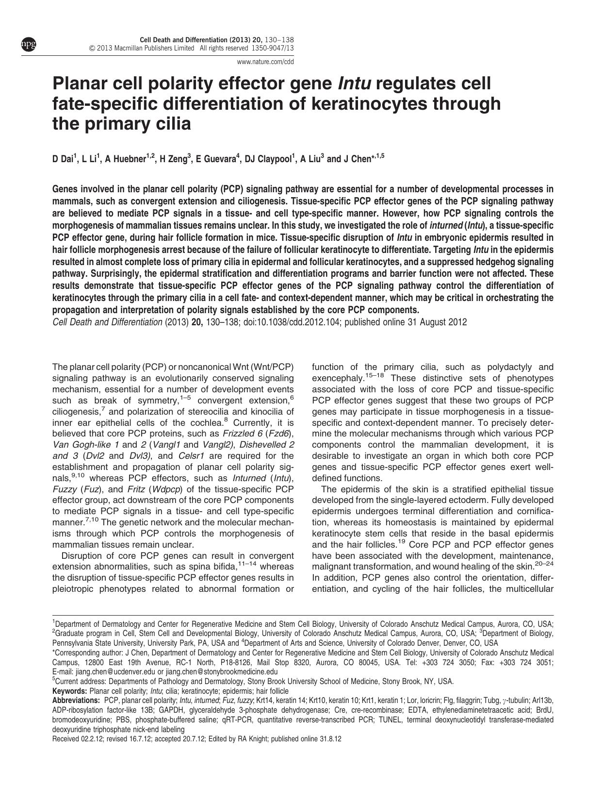 Planar cell polarity effector gene Intu regulates cell fate-specific differentiation of keratinocytes through the primary cilia by D Dai & L Li & A Huebner & H Zeng & E Guevara & D J Claypool & A Liu & J Chen