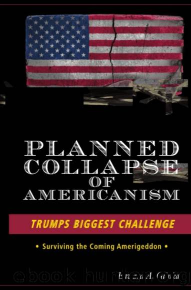 Planned Collapse of Americanism: Surviving the Coming Amerigeddon by Edward Glinka