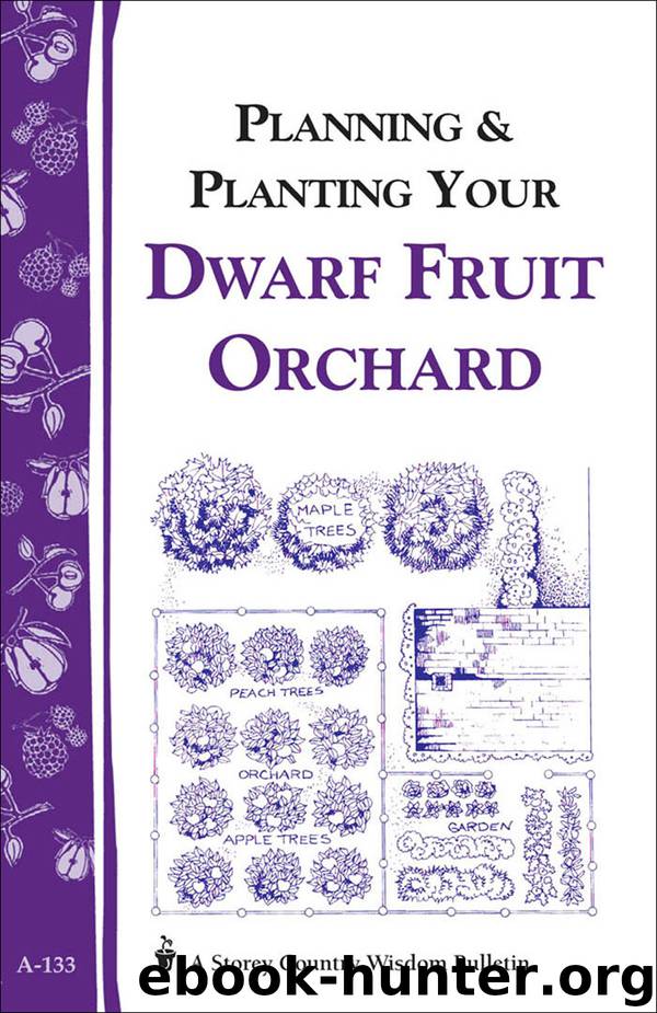 Planning & Planting Your Dwarf Fruit Orchard by Editors of Garden Way Publishing