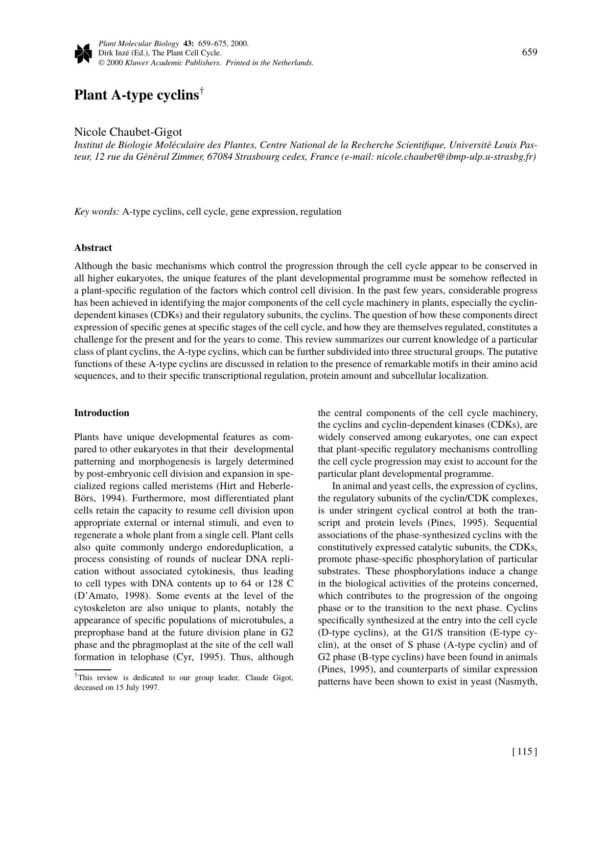 Plant A-type cyclins† by Unknown