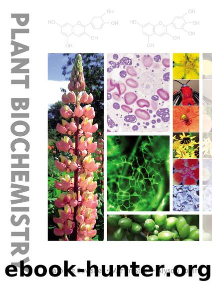 Plant Biochemistry by Caroline Bowsher;Martin Steer;Alyson Tobin;