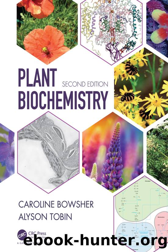 Plant Biochemistry by Caroline Bowsher