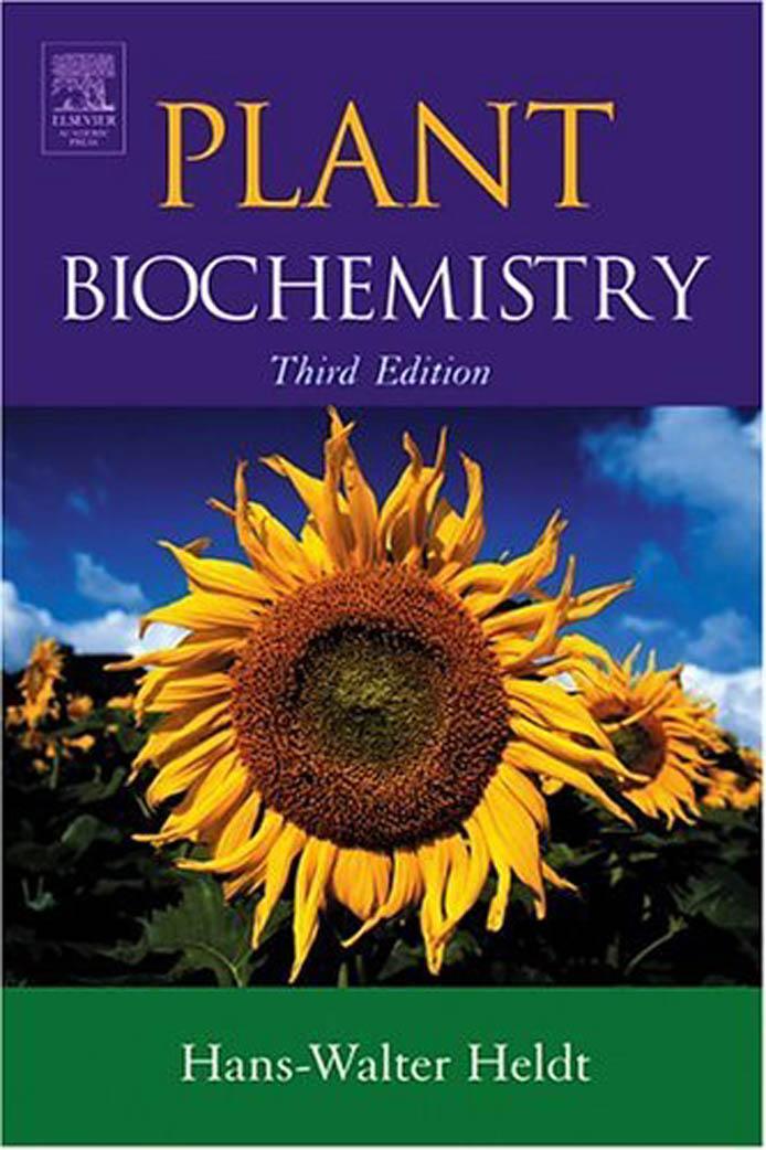 Plant Biochemistry by Hans-Walter Heldt