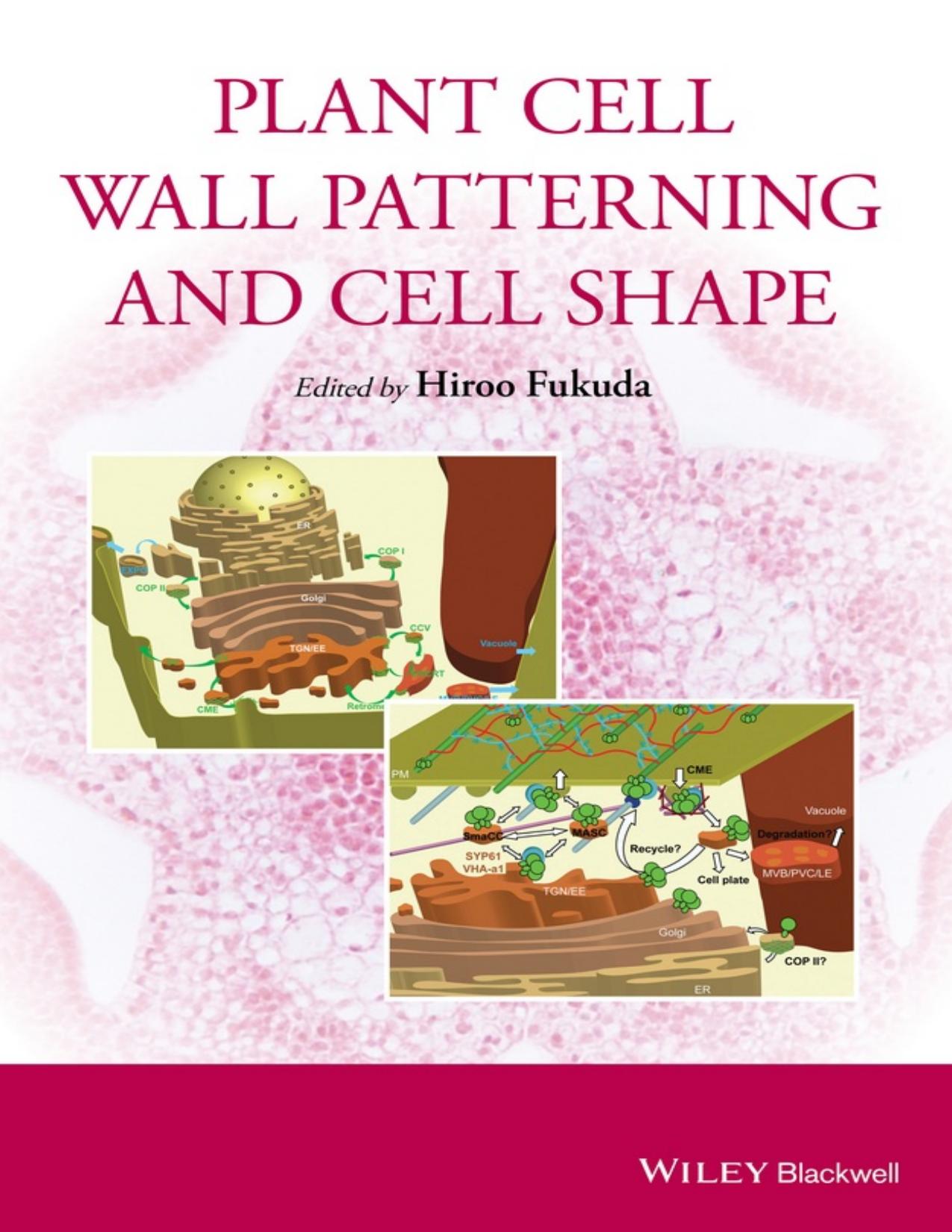 Plant Cell Wall Patterning and Cell Shape by Fukuda Hiroo