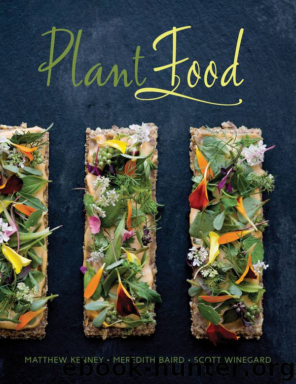Plant Food by Matthew Kenney & Meredith Baird & Scott Winegard