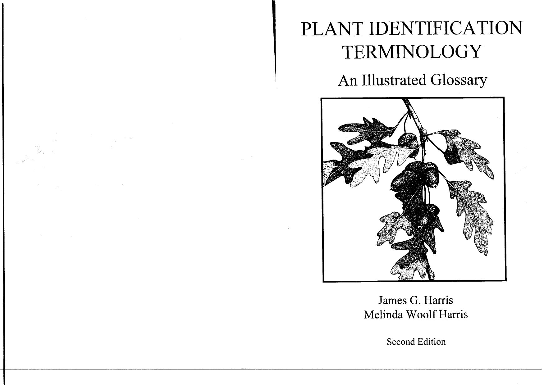 Plant Identification Terminology: An Illustrated Glossary by James G. Harris Melinda Woolf Harris