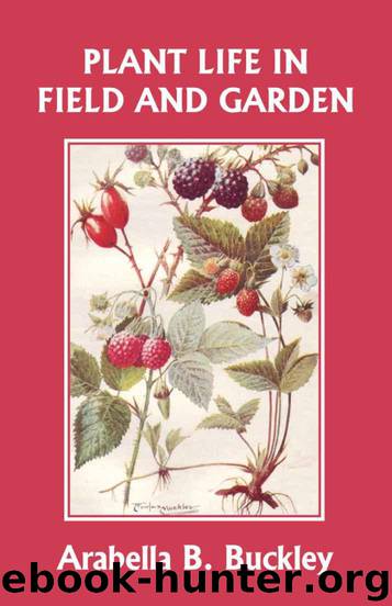 Plant Life in Field and Garden (Yesterday's Classics) by Buckley Arabella B
