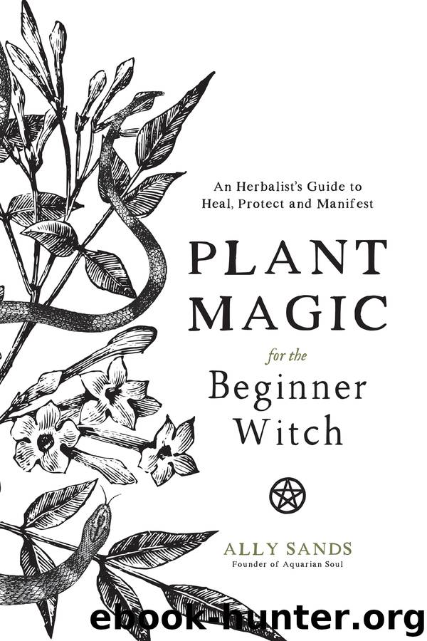 Plant Magic for the Beginner Witch by Ally Sands