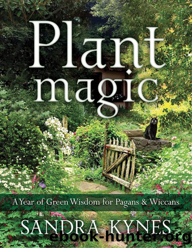 Plant Magic: A Year of Green Wisdom for Pagans & Wiccans by Sandra Kynes