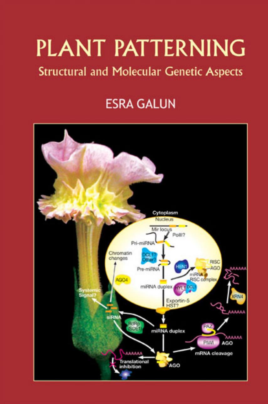 Plant Patterning: Structural and Molecular Genetic Aspects by Esra Galun