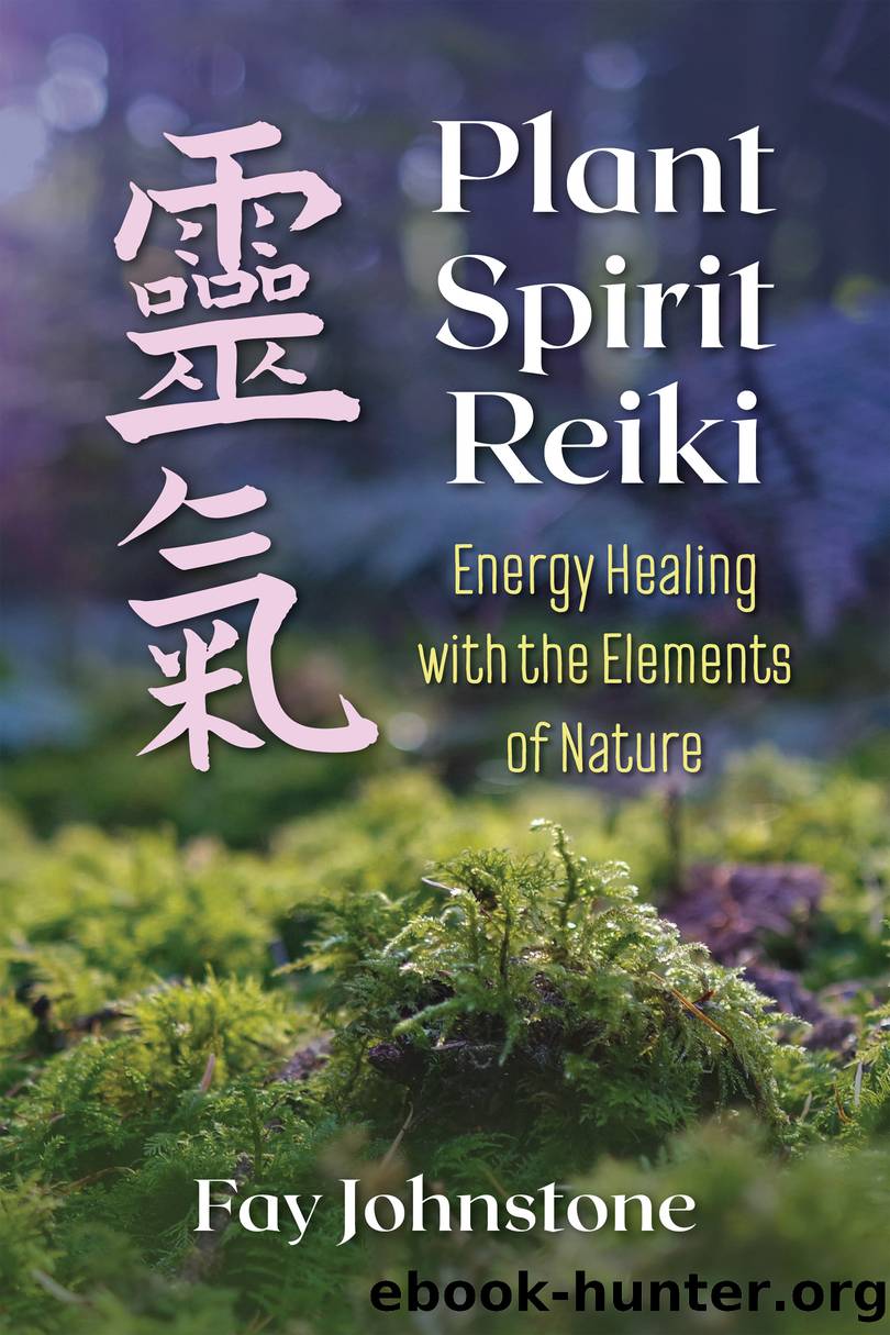 Plant Spirit Reiki by Fay Johnstone