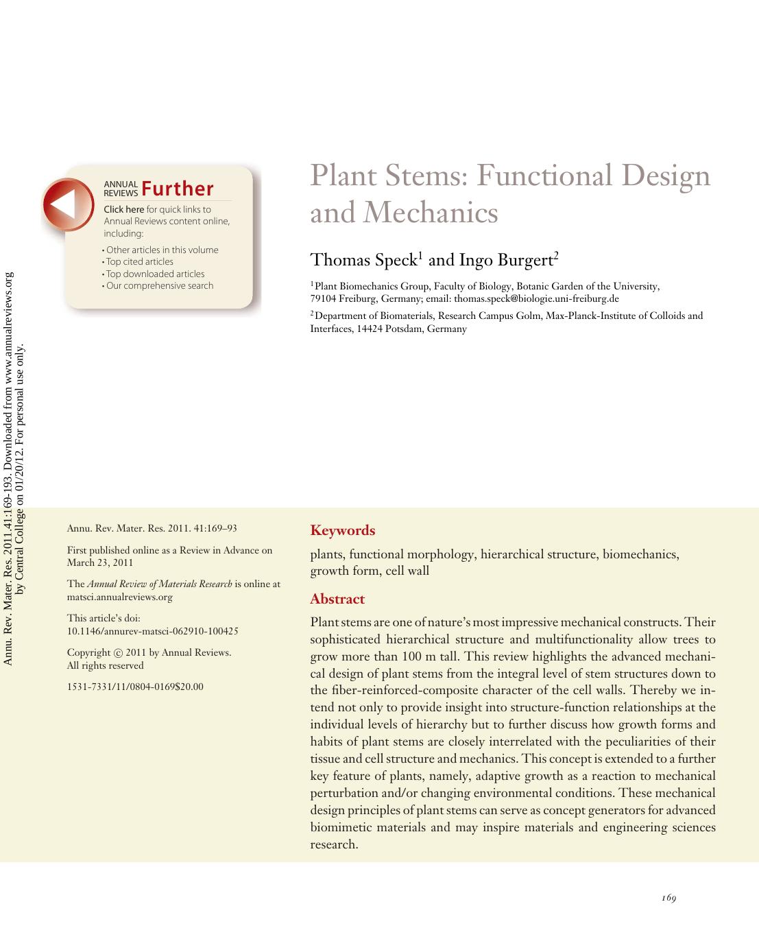 Plant Stems: Functional Design and Mechanics by Thomas Speck1 & Ingo Burgert2