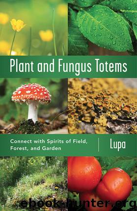 Plant and Fungus Totems by Lupa