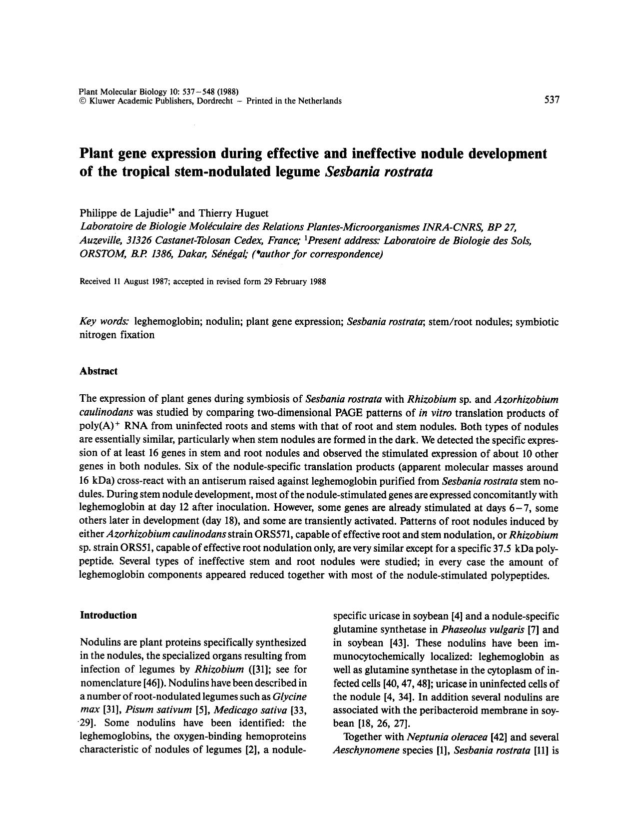 Plant gene expression during effective and ineffective nodule development of the tropical stem-nodulated legume <Emphasis Type="Italic">Sesbania rostrata<Emphasis> by Unknown