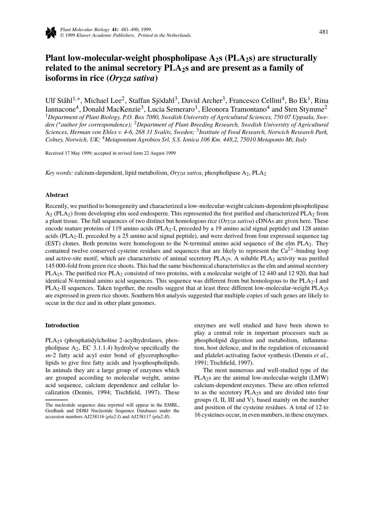 Plant low-molecular-weight phospholipase A2s (PLA2s) are structurally related to the animal secretory PLA2s and are present as a family of isoforms in rice (Oryza sativa) by Unknown