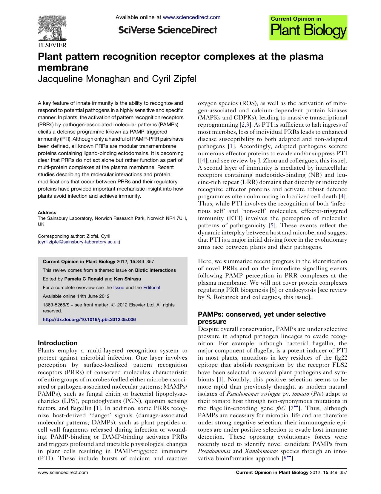 Plant pattern recognition receptor complexes at the plasma membrane by Jacqueline Monaghan