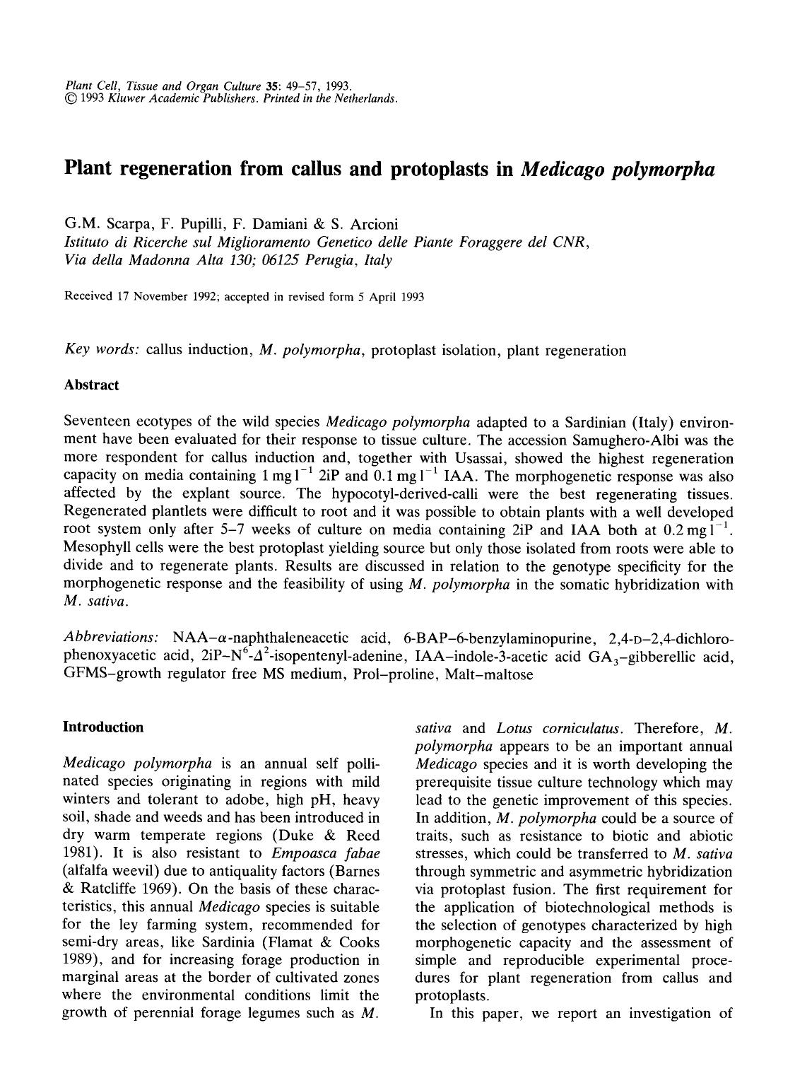 Plant regeneration from callus and protoplasts in <Emphasis Type="Italic">Medicago polymorpha<Emphasis> by Unknown