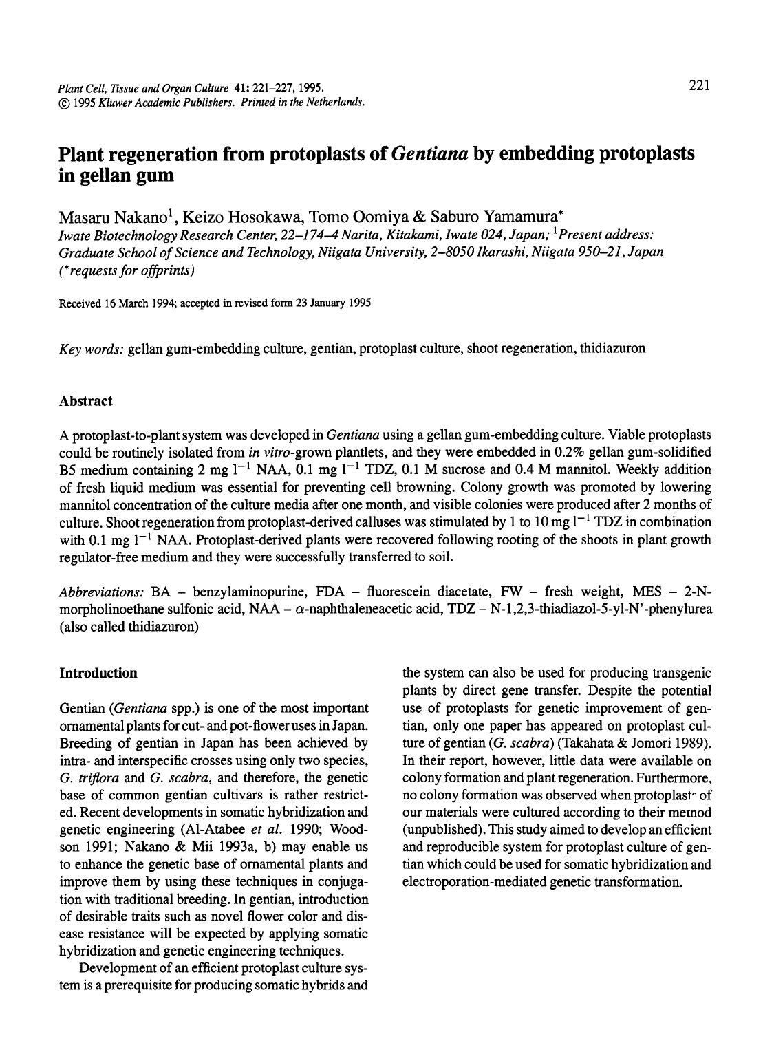 Plant regeneration from protoplasts of <Emphasis Type="Italic">Gentiana<Emphasis> by embedding protoplasts in gellan gum by Unknown