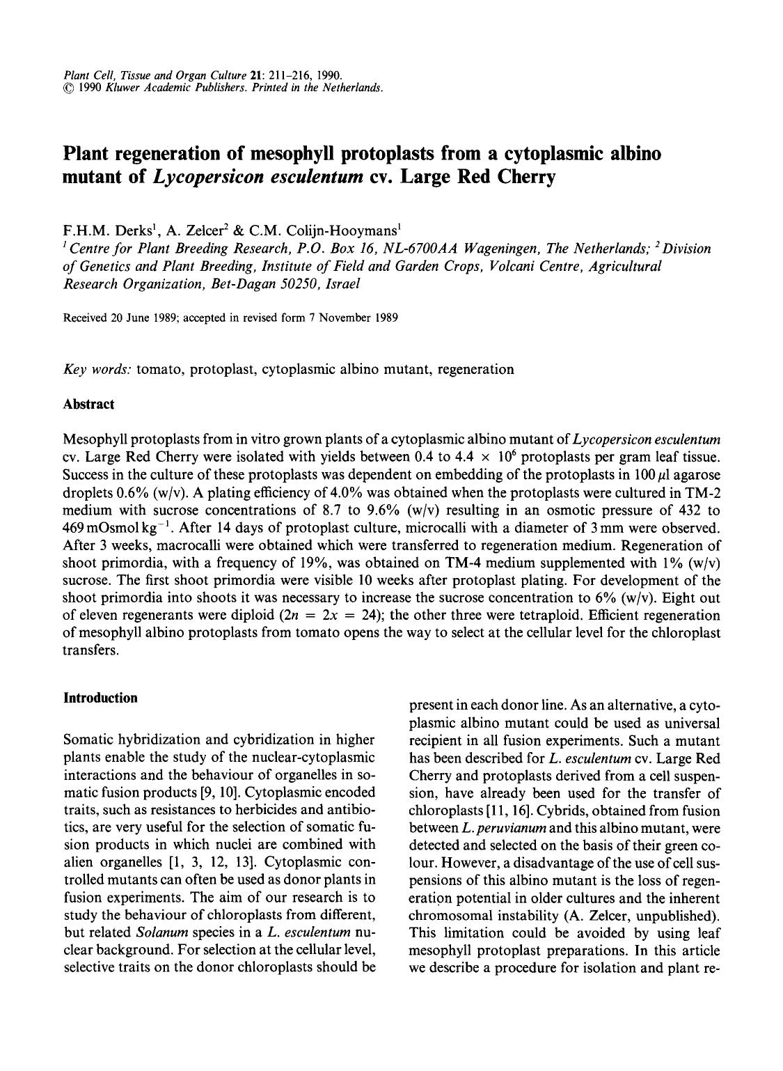 Plant regeneration of mesophyll protoplasts from a cytoplasmic albino mutant of <Emphasis Type="Italic">Lycopersicon esculentum <Emphasis> cv. Large Red Cherry by Unknown