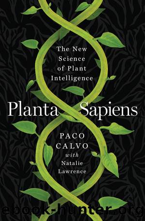 Planta Sapiens by Paco Calvo