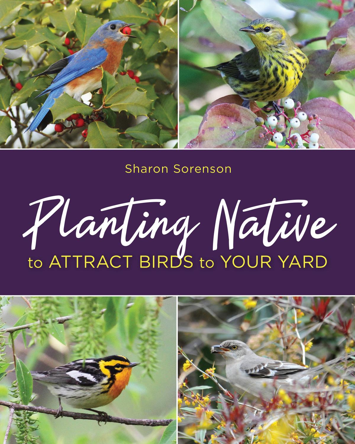 Planting Native to Attract Birds to Your Yard by Sharon Sorenson