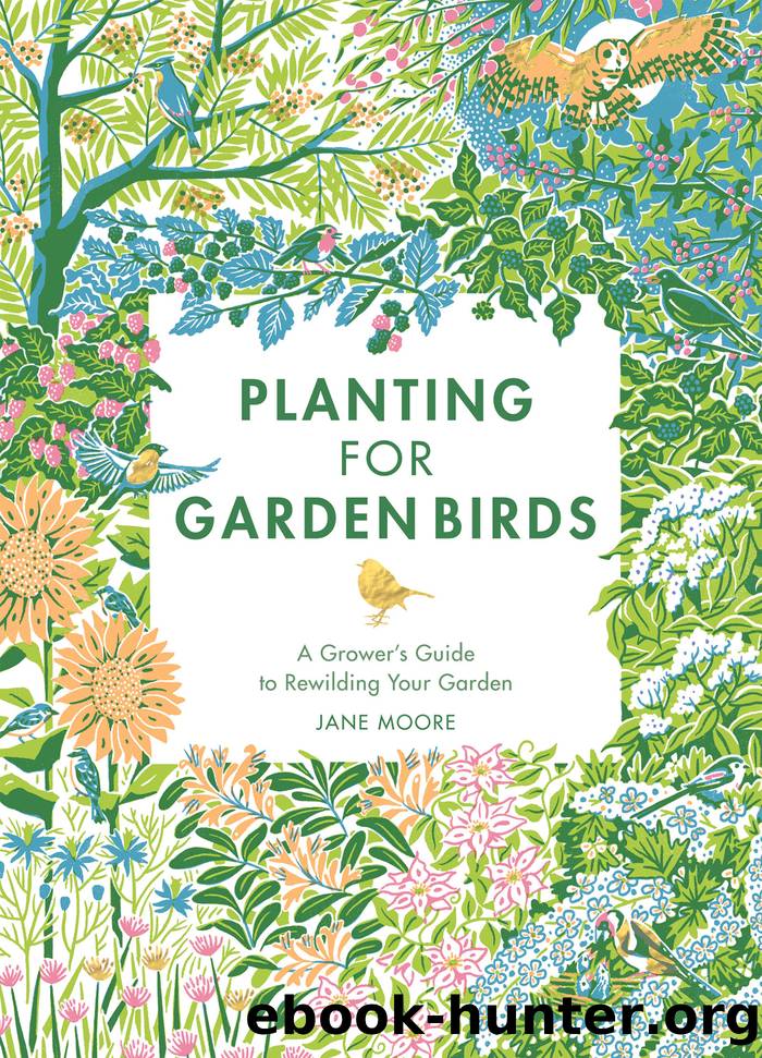 Planting for Garden Birds by Moore Jane;